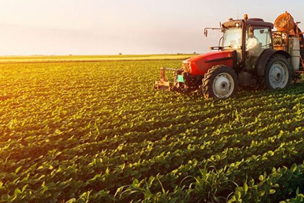 Agriculture